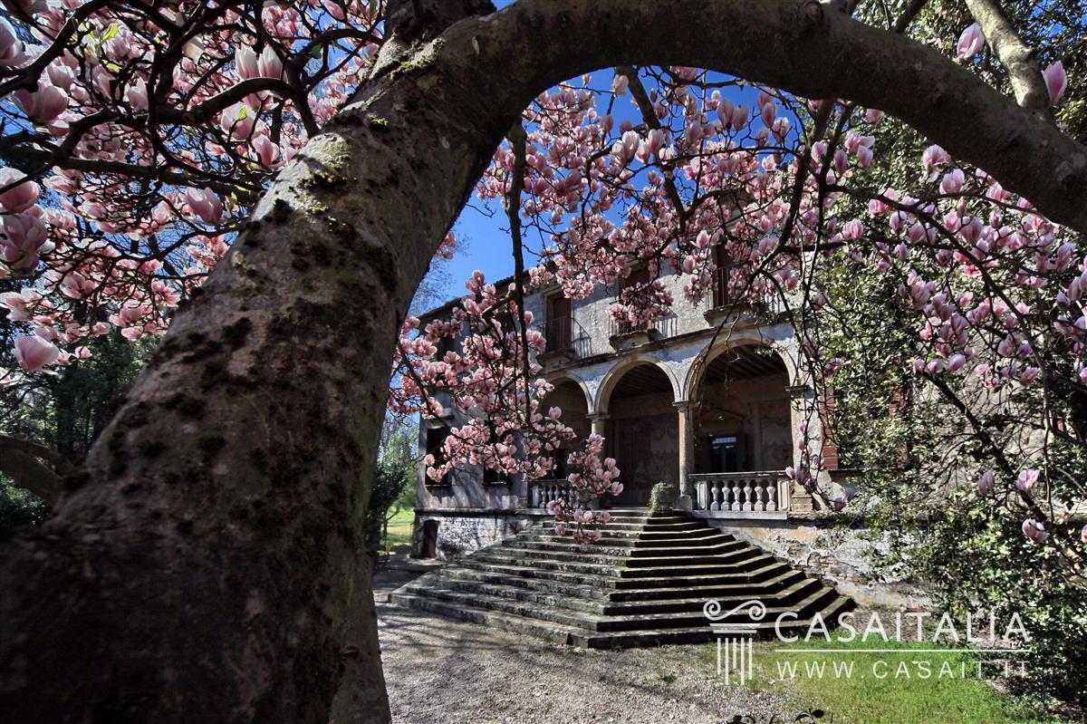 Historic villa for sale between Padova and Venice