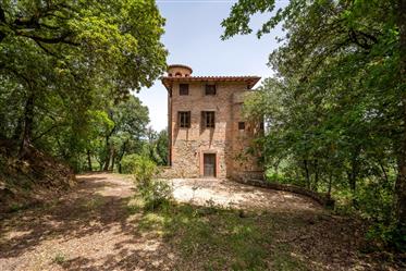 Villa dell'Antica Torre - V6ji