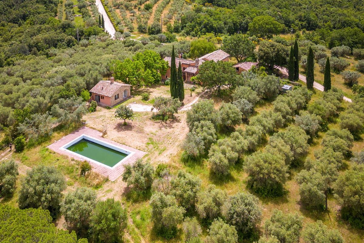 Borgo Le Selvette - Xjj0