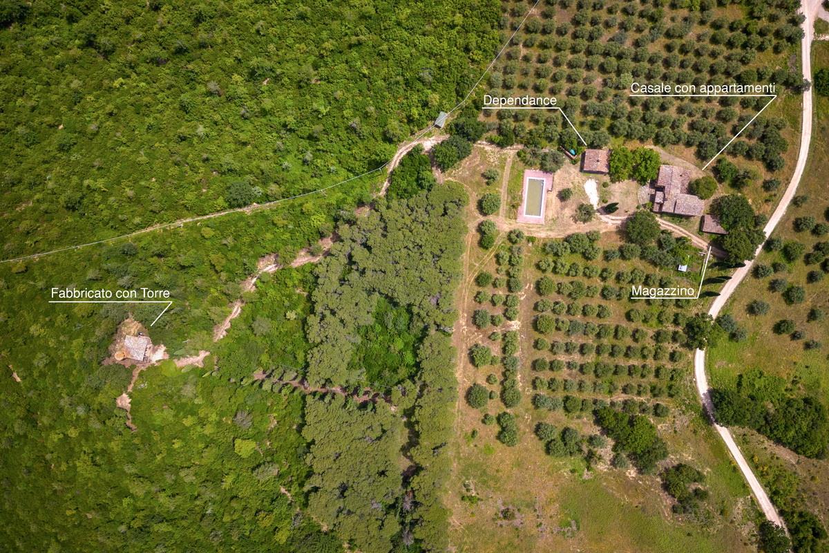 Borgo Le Selvette - Xjj0