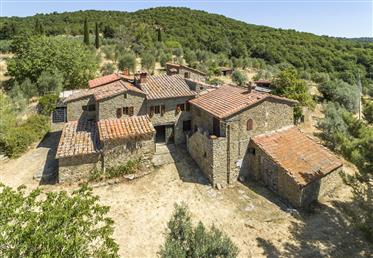 Bauernhaus von Sant'Ellero - 09Hs
