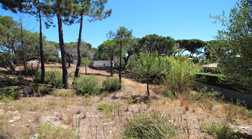 Parcelle de terrain pour la construction de la Villa près de Quinta do Lago