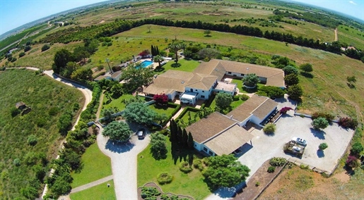 Superb country estate and annexe for sale in Silves, Algarve