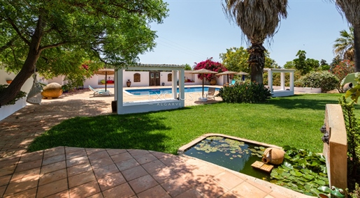 Superb country estate and annexe for sale in Silves, Algarve