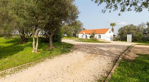 Fantastisches Grundstück mit kleinem Haus zu verkaufen Portimao, Algarve