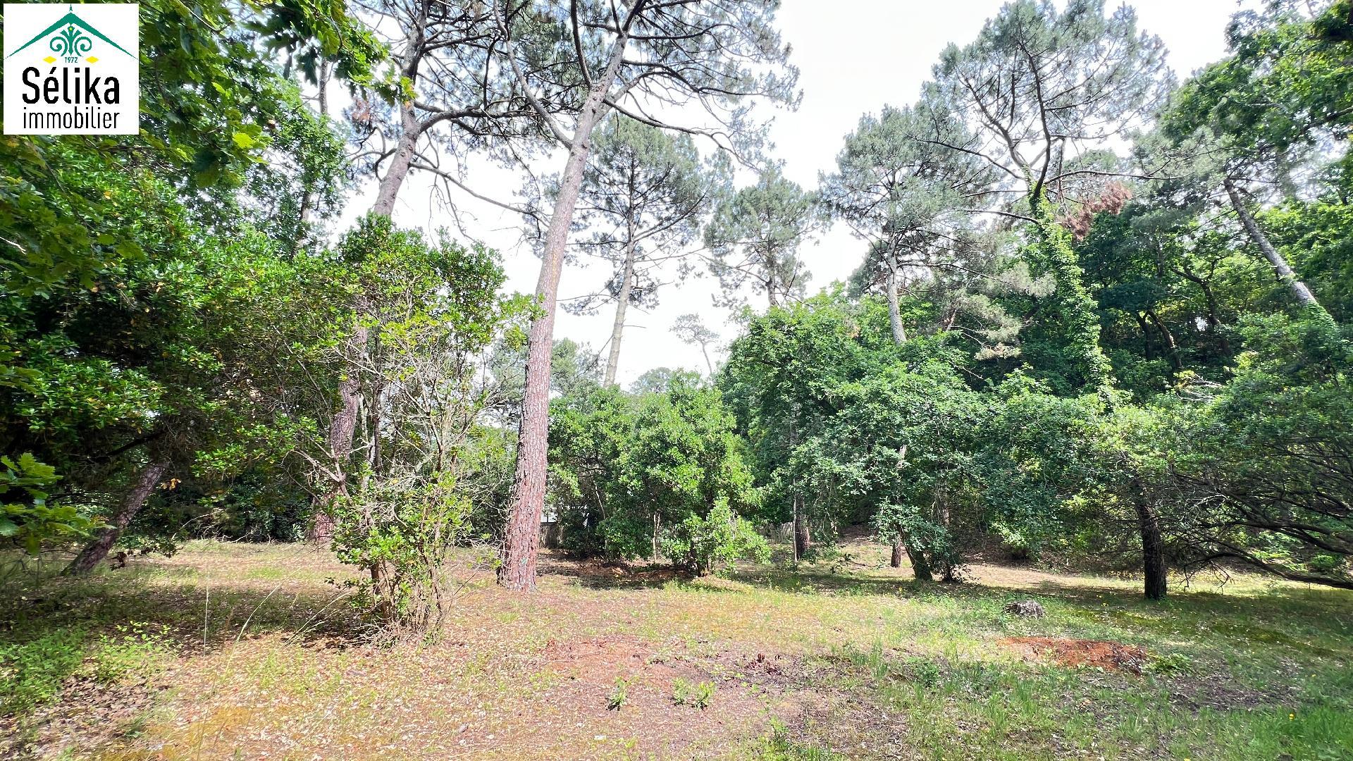 Compra: Terreno (33120)