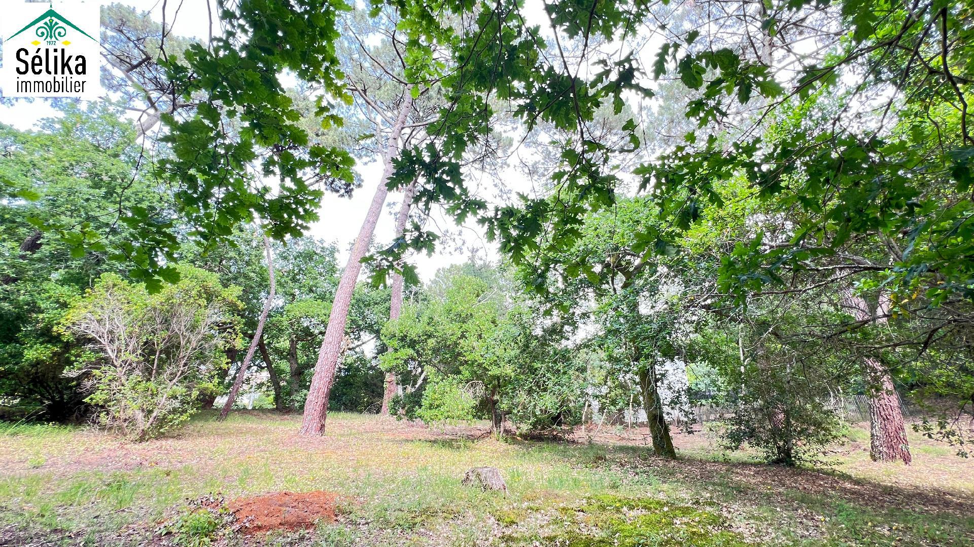 Compra: Terreno (33120)