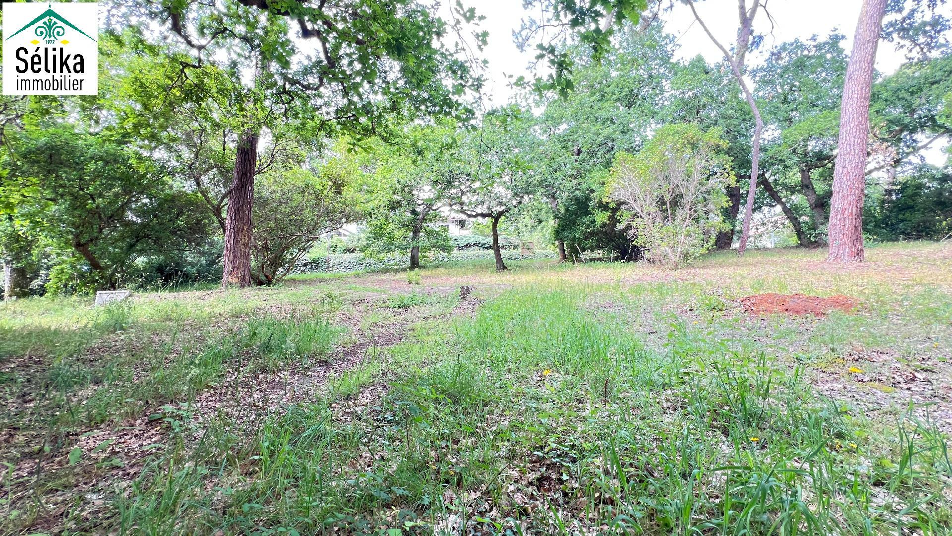 Compra: Terreno (33120)