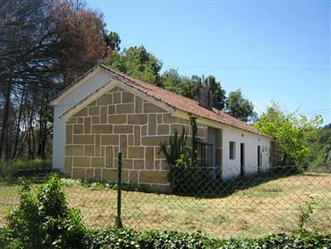 Casa en Portugal, escuela primaria