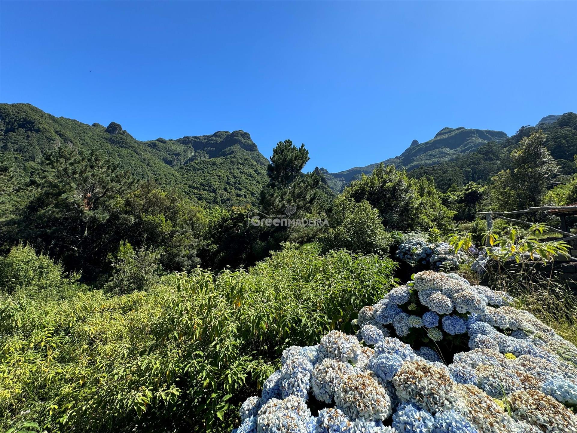 Parcela plana con 1704 metros cuadrados ubicada en Loural - São Vicente - Isla de Madeira