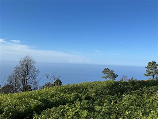 Terreno con 1206 metros cuadrados ubicado en Fajã da Ovelha - Calheta - Isla Madeira, en Venta