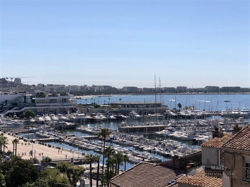 Cannes Le Suquet Vue Mer Panoramique