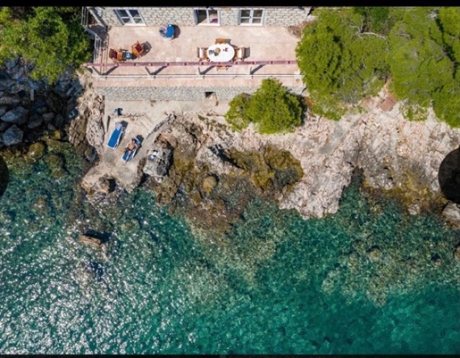 Unique waterfront villa in Dubrovnik area with private beach platform, on a large green land plot of