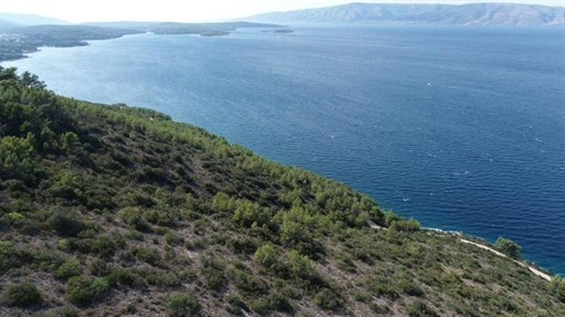 Agro land plot for sale in Jelsa area, on Hvar island - 1st line to the sea
