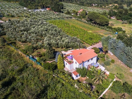 Huge estate in Medulin - paradise with sea views within walking distance from the sea!