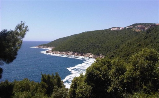 Großes Grundstück in 1. Linie an der Riviera von Dubrovnik