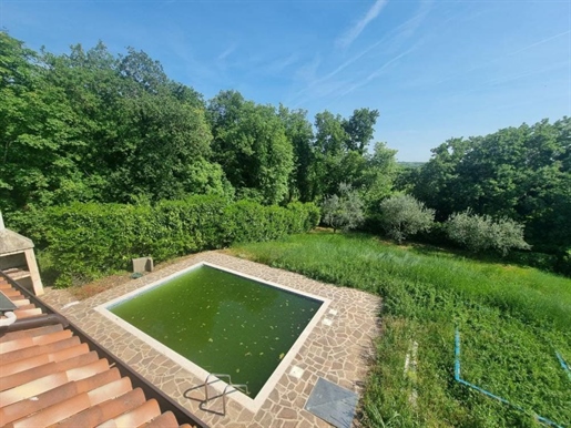 Villa with swimming pool in Umag area cca. 4 km from the sea