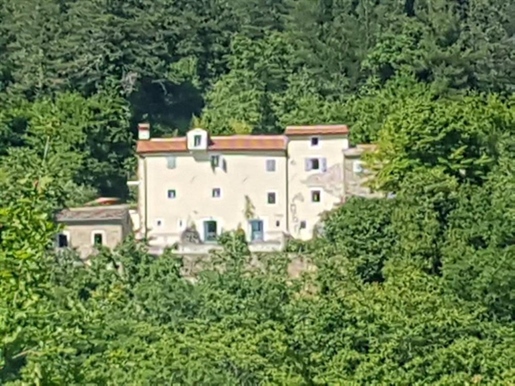A stone fairy tale villa in nature in Motovun romantic outskirts!