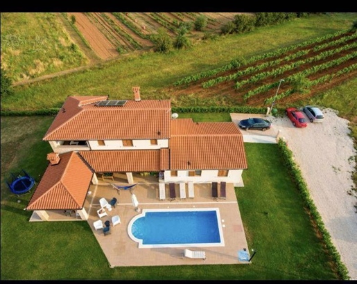 Beautiful villa with swimming pool in a green environment of Labin area