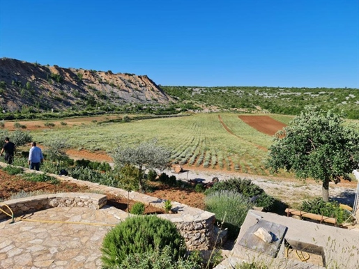 Außergewöhnliches landwirtschaftliches Land zum Verkauf mit einem Projekt von 300 qm. Villa mit Pool
