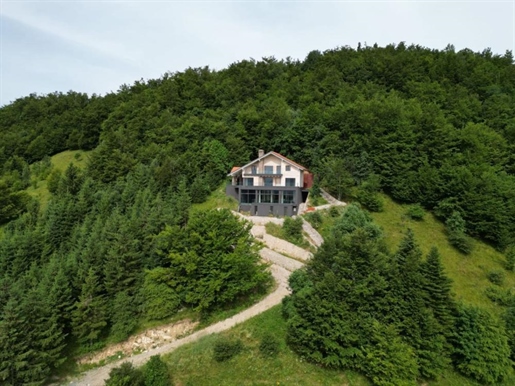 Luxury villa with 20,000 m2 territory in Crni Lug