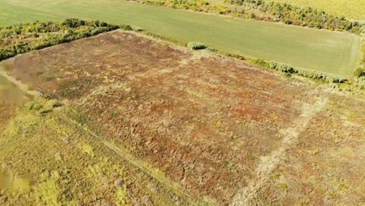 Geräumiges landwirtschaftliches Grundstück zum Verkauf in der Gegend von Buje, 83.917 m2