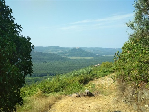 Fantastic land plot for sale in Motovun area with stunning views of Istria