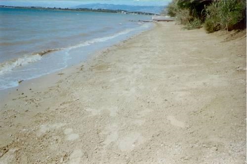 Guest house with 4 apartments on Zadar riviera, 80 meters from the sea, for sale