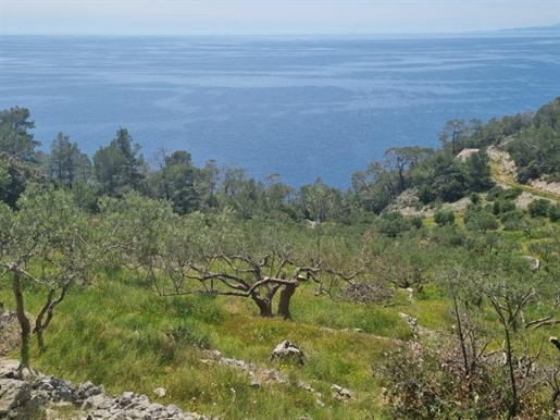 Agrogrundstück direkt am Meer mit Baumöglichkeit auf der Insel Hvar