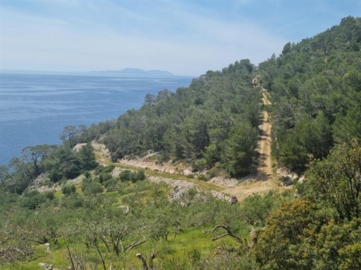 Seafront agro land with possibility of construction on Hvar island