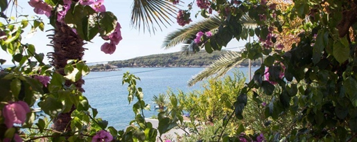 Anwesen in erster Meereslinie in der Gegend von Dubrovnik mit 3 Wohnungen