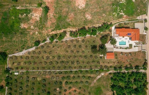 Красивая роскошная вилла с оливковой рощей площадью 5800 кв.м. В районе Водняна