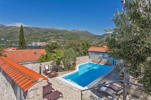 Castello near Dubrovnik with 7 apartments