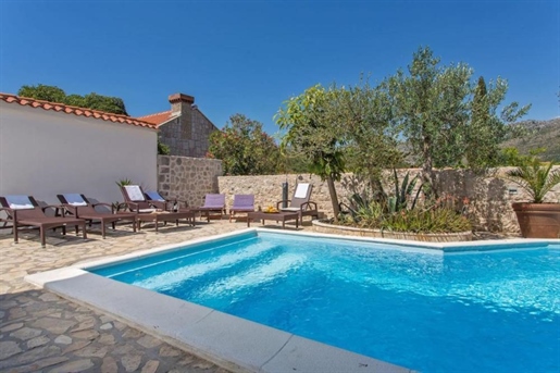 Castello near Dubrovnik with 7 apartments