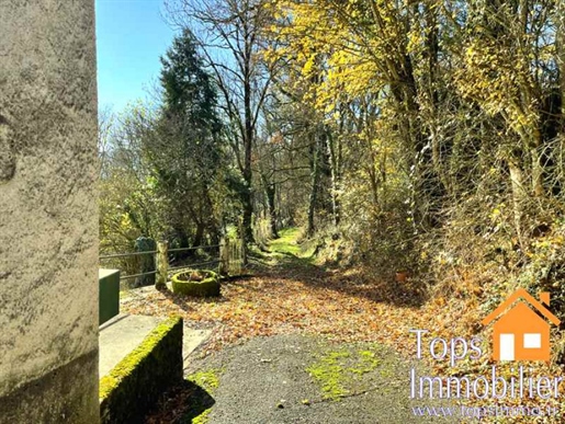 Farmstead, and outbuildings to renovate on 2500m2 land with views over Najac