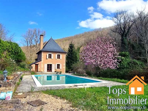 Fully renovated mill with a pool