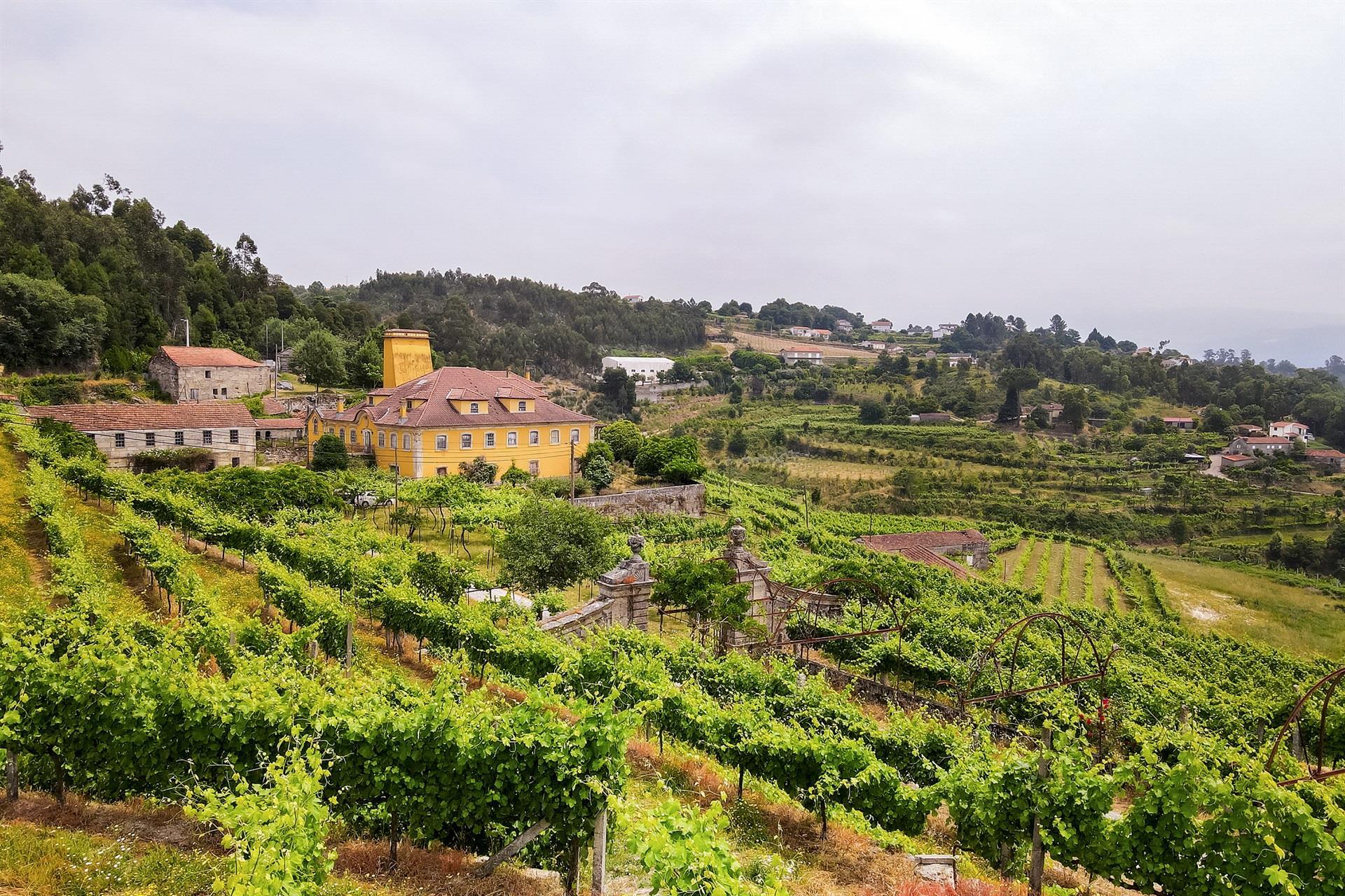 Bauernhof in Marco Canaveses