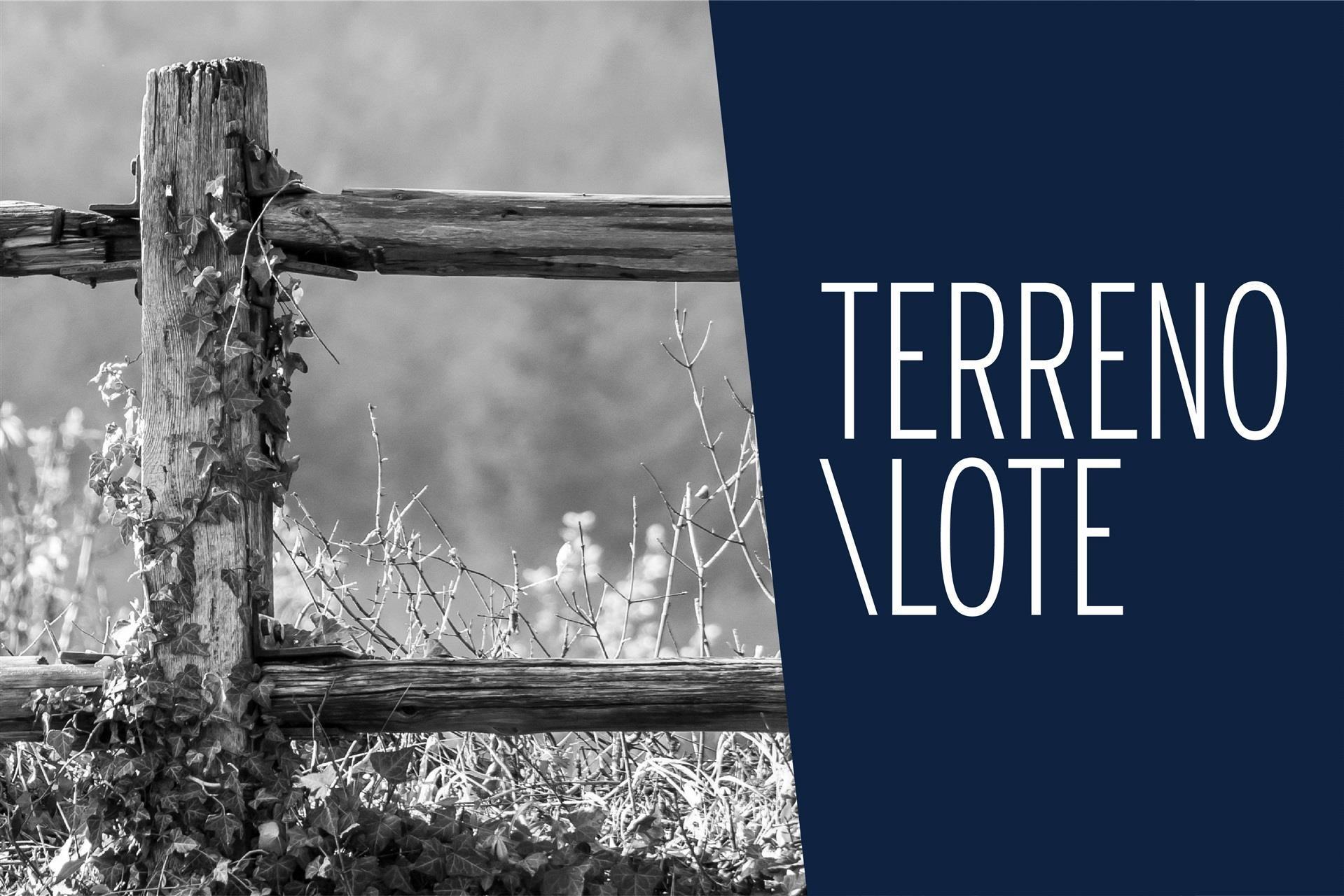 Plot for Building a House, Foz do Douro