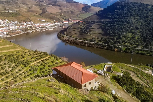 Domaine viticole, région viticole du Haut Douro