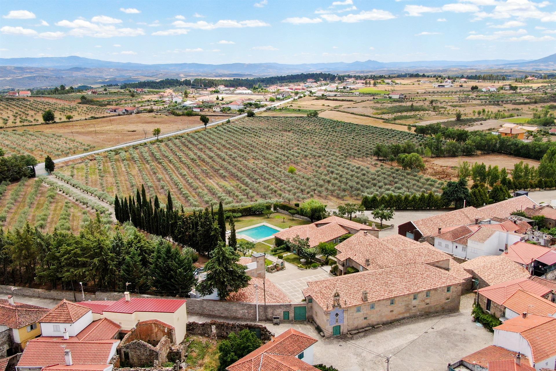 Ferme, oliveraie, Mirandela, Bouça
