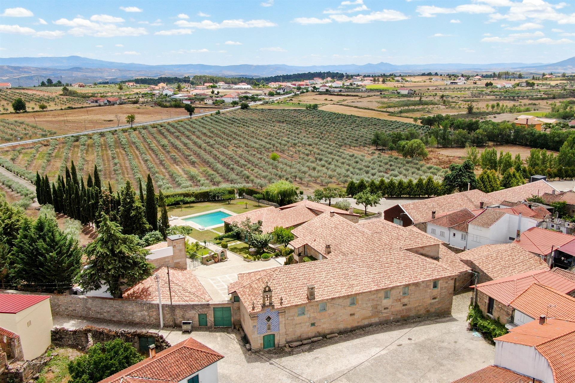 Ferme, oliveraie, Mirandela, Bouça