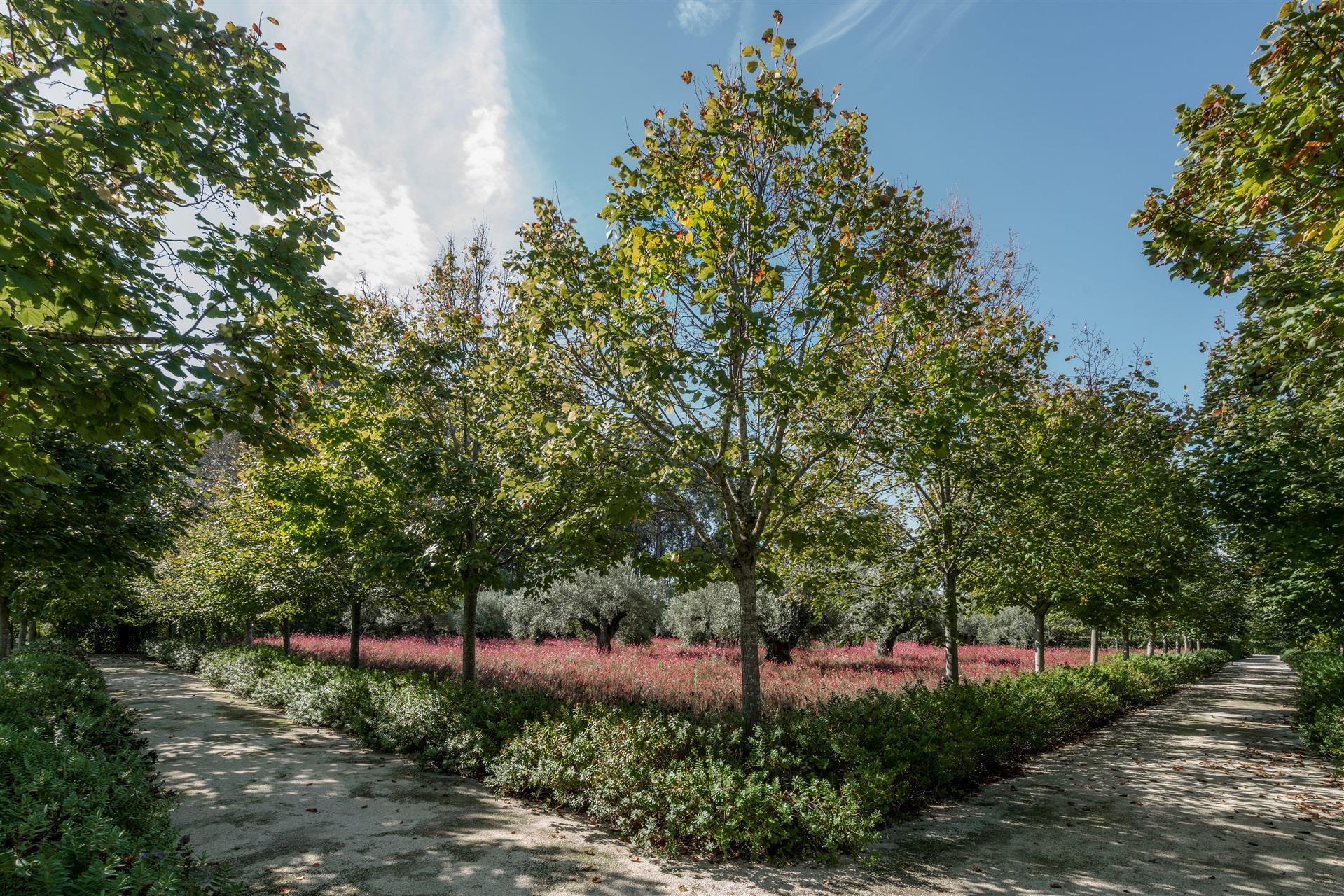 Country Estate, Cantanhede, Cadima