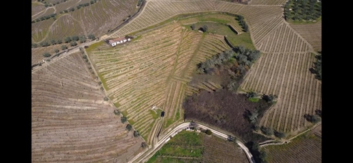 Ruined land with approved project, Douro