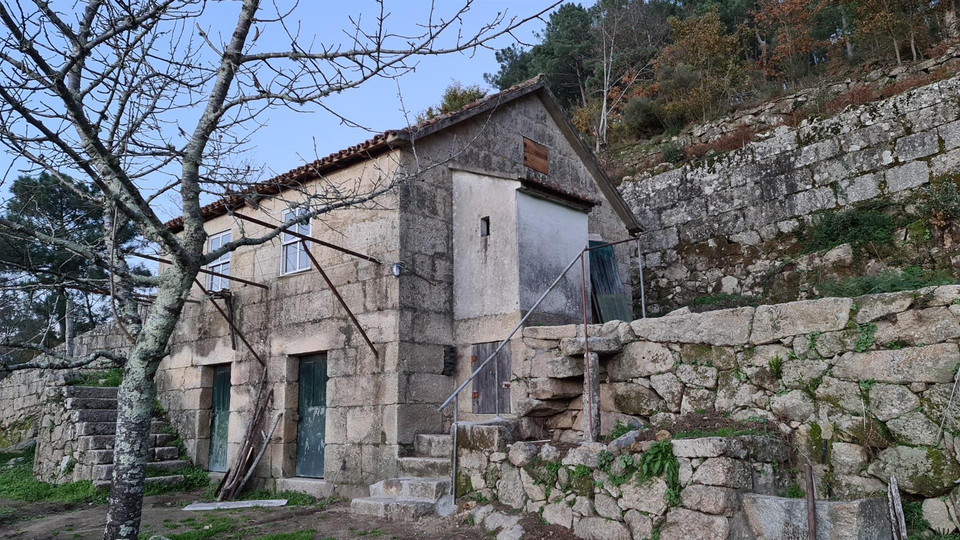 Farm in Cinfães, Viseu
