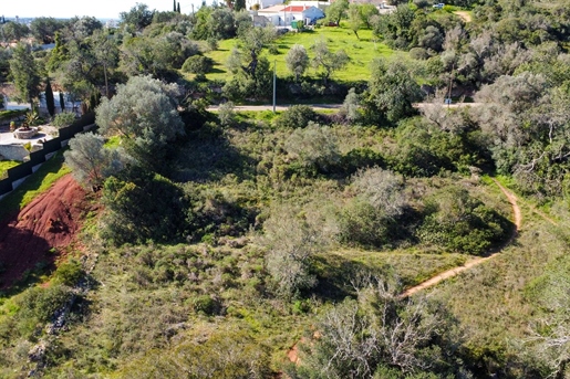 Verwoest land, Cerro de Cabeça de Câmara