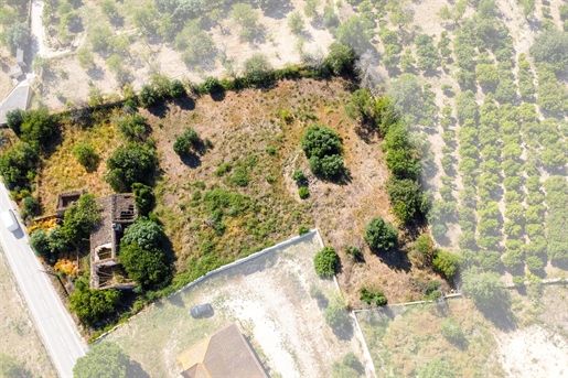 Ruine mit genehmigtem Projekt in Boliqueime