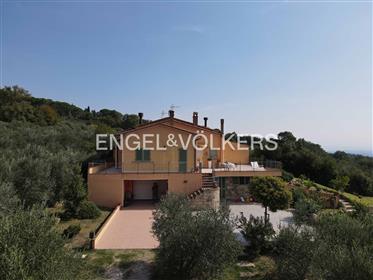 Villa bifamiliare panoramica circondata da Olivi