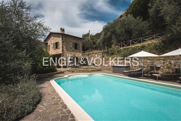 Stone farmhouse with swimming pool and olive grove