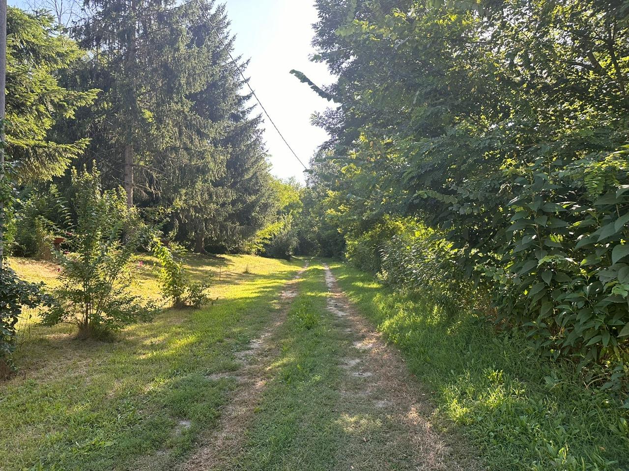 Antico mulino in posizione molto tranquilla