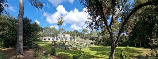Villa Mougins Beveiligd Landgoed
